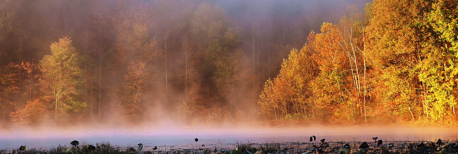 Featured Post Image - Coping with Life Challenges